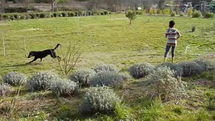 Trap Trap: A Quick Overview