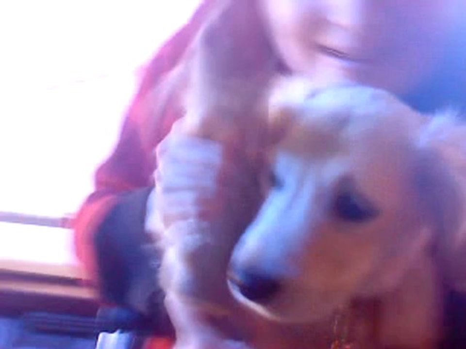 EORGIA VOEUX DE BONNE ANNEE 20123