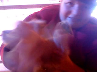 GEORGIA HAPPY NEW YEAR 2013