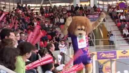 SAHB : Gégé dans tous ces états