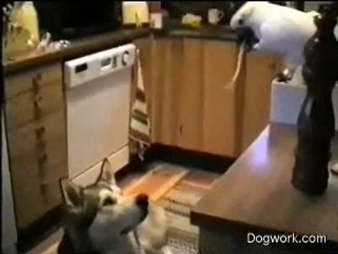 Spaghetti Night bonno van der putten