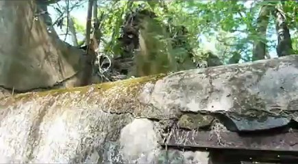 Visit to the Salvation Islands in French Guiana