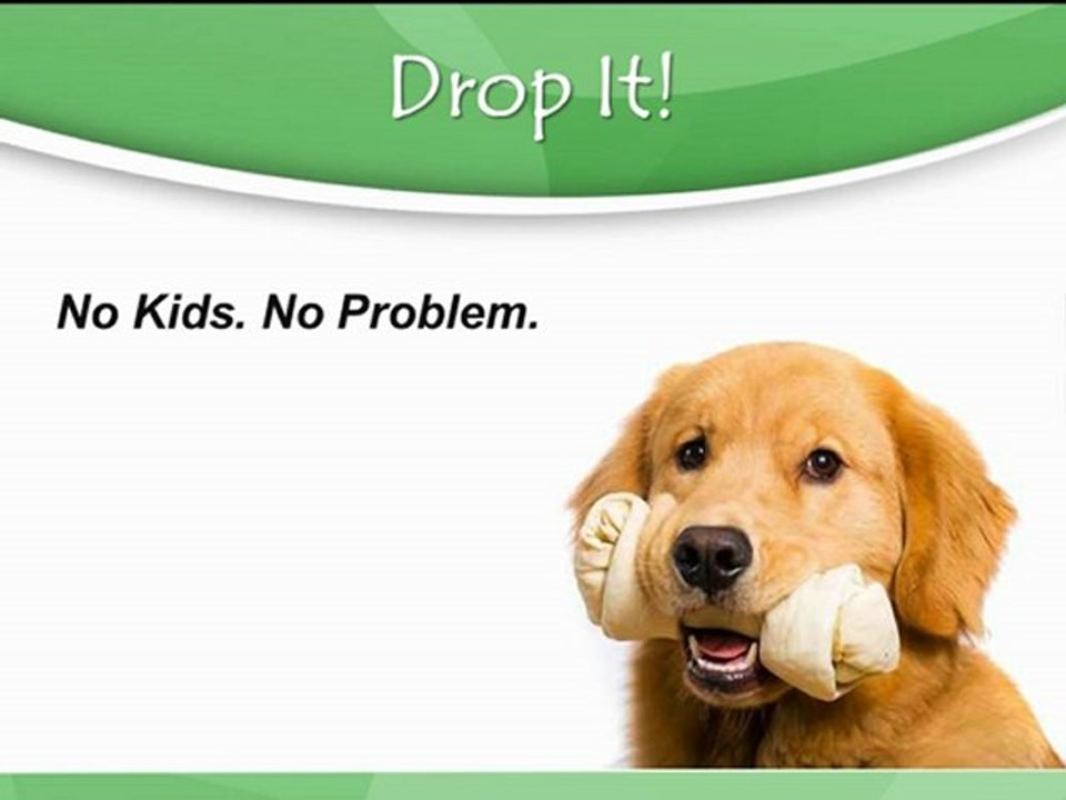 Dog Training Tequniques Explained