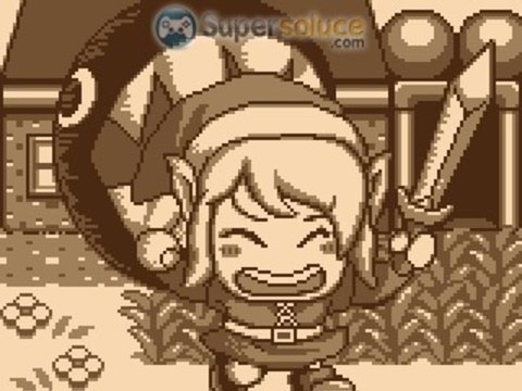 Zelda Link's Awakening [P-13] Le donjon des couleurs