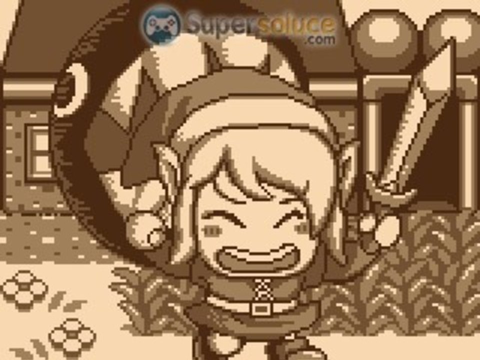 Zelda Link's Awakening [P-13] "Le donjon des couleurs"