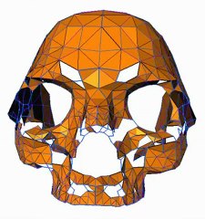Surface Reconstruction of a Skull