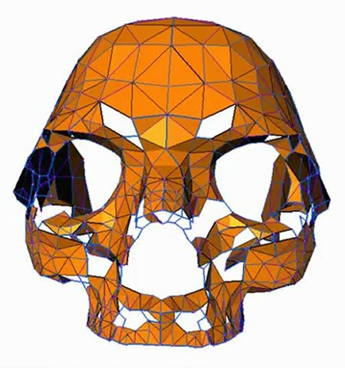 Surface reconstruction of a skull