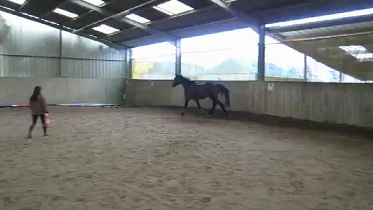 Veneur1 DEC12