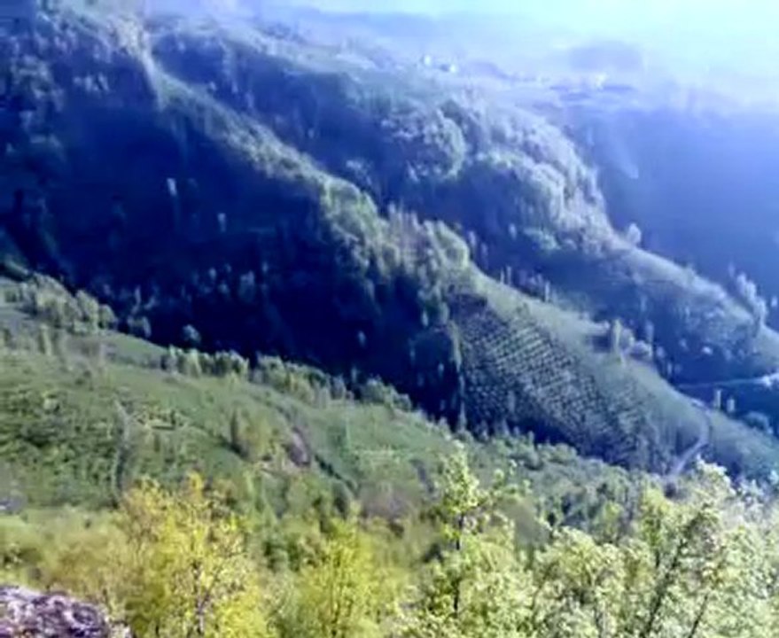 memleketde bahar