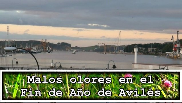 Quejas de vecinos y ecologistas por malos olores en Avilés