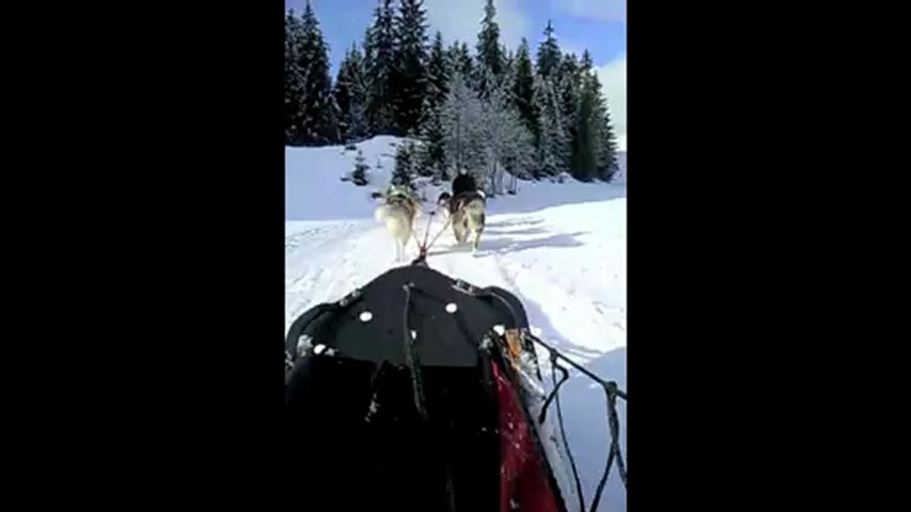 Traîneau 2 janvier 2013 meilleure qualité