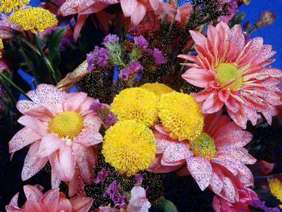 Ey nazlı çiçeğim - İzzettin Bilgin