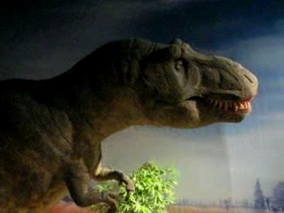 T-Rex