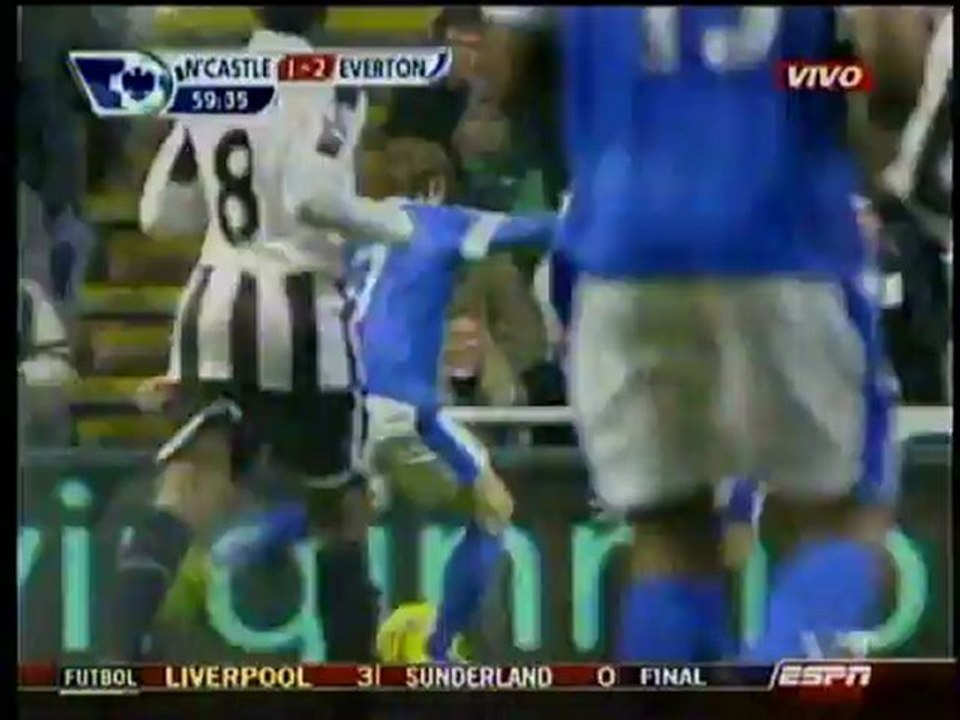 newcastle 1 everton 2