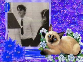 HERVÉ VILARD CANTA: MAUVAIS TEMPS