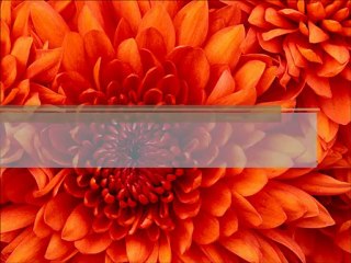 The Need to Have Virtual PBX in Today’s Competitive World of Business