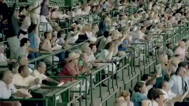 Course de chiens publicité