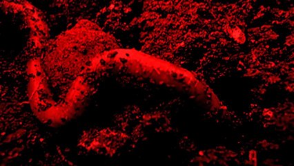 Darkoustix: Outsider