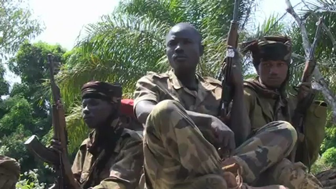 Multinational force warns C. Africa rebels against advance