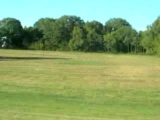 Champs de coton (Alabama)
