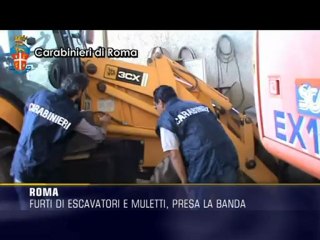 Furto di escavatori e muletti, presa la banda