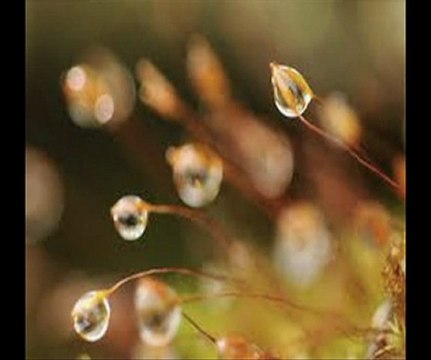 Sửa Chữa Nhà Quận Gò Vấp call 0907 323 053