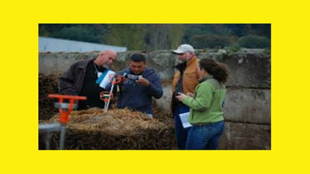 How To Compost