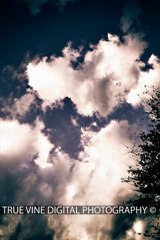 TRUE VINE DIGITAL PHOTOGRAPHY-IN HEAVEN'S ARMS~