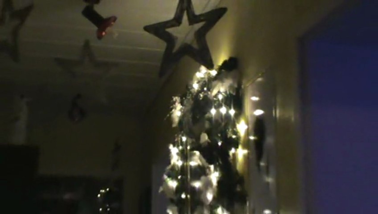 Weihnachten 2012 Die Fellas Hubert und Matthias http://www.DieFellas.de Weihnachtsdeko Weihnachtsdörfer  Weihnachtstisch