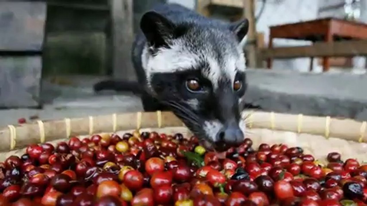 Rondo Veneziano - Abissi (Buon Natale Disc 2)