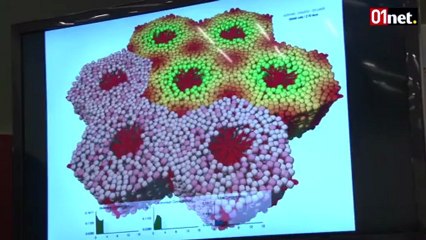 Des logiciels pour mieux vous soigner-3Janvier2013