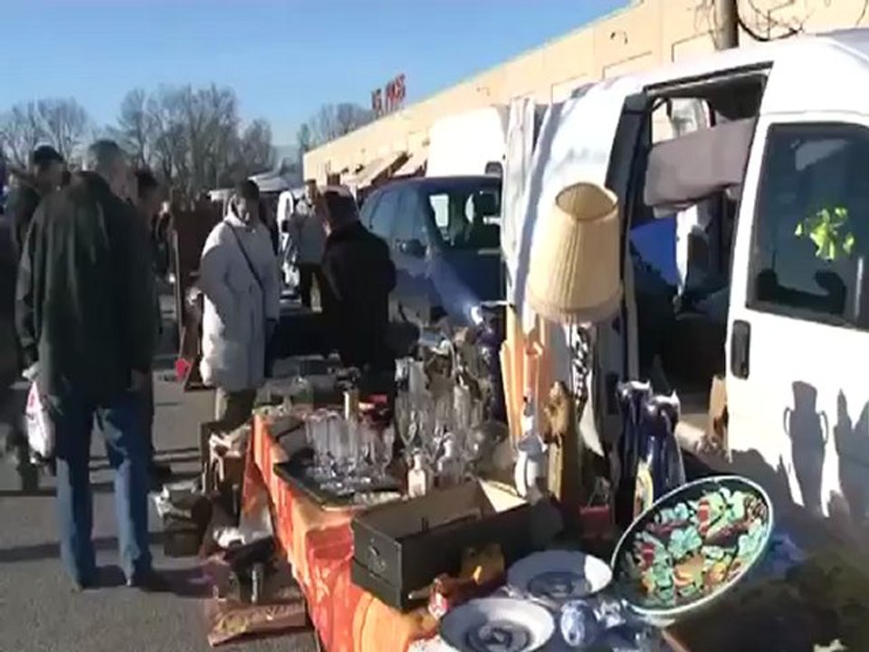 Les puces du Canal