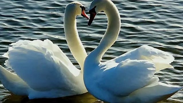 Paul Mauriat - Andean - Flute Music of the Andes - Edward Simoni - El Condor Pasa