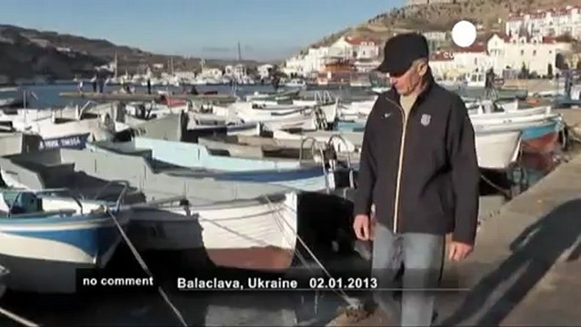 Invasion of jellyfish over Balaclava Bay - no comment