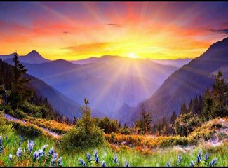 ARTHUR RUIVO BELLIZZI - ESTRATEGIAS