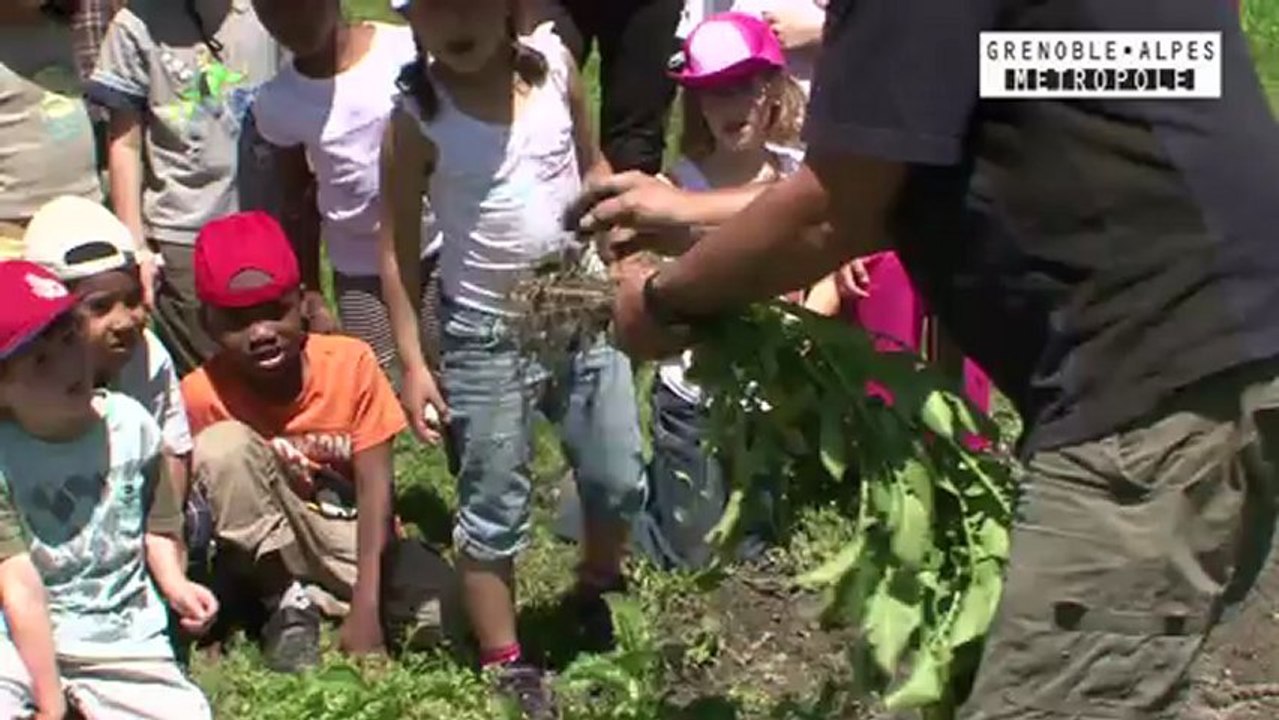 2012.06 Jardin pedagogique