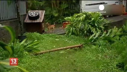 Plus de peur que de mal après le passage de Dumile sur...
