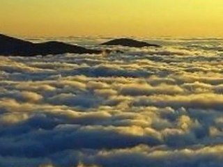 Who could guess the beautiful dream Doretta had_Elif Savaş Felsen