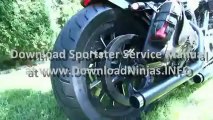 Harley Sportster Iron 883 Nightster_(new)