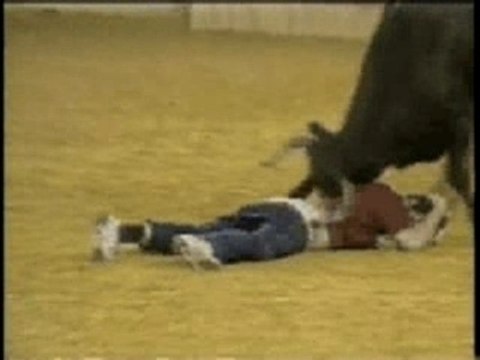 Bull Nuding