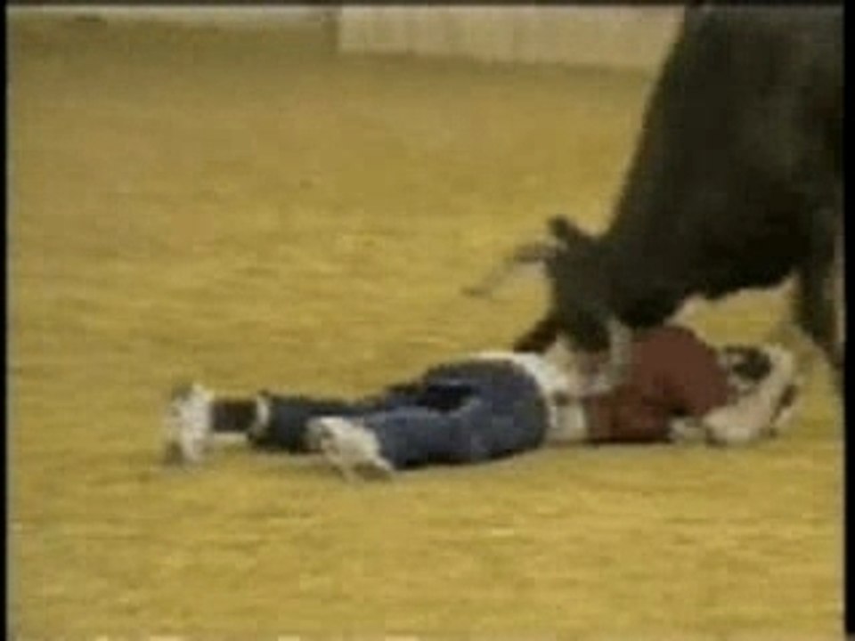 Bull Nuding