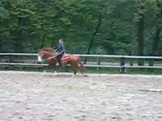 Galop a gauche et stop