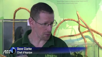 Inventaire annuel du zoo de Londres