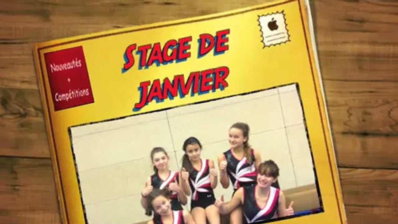 stage janvier