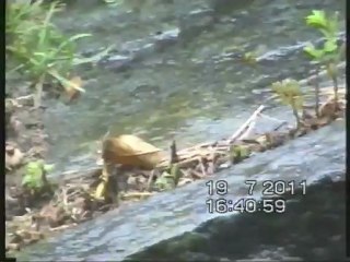 Divertimento = pioggia e bel tempo visto dall'entrata di casa mia a Crana Onsernone in Svizzera, i miei video_1