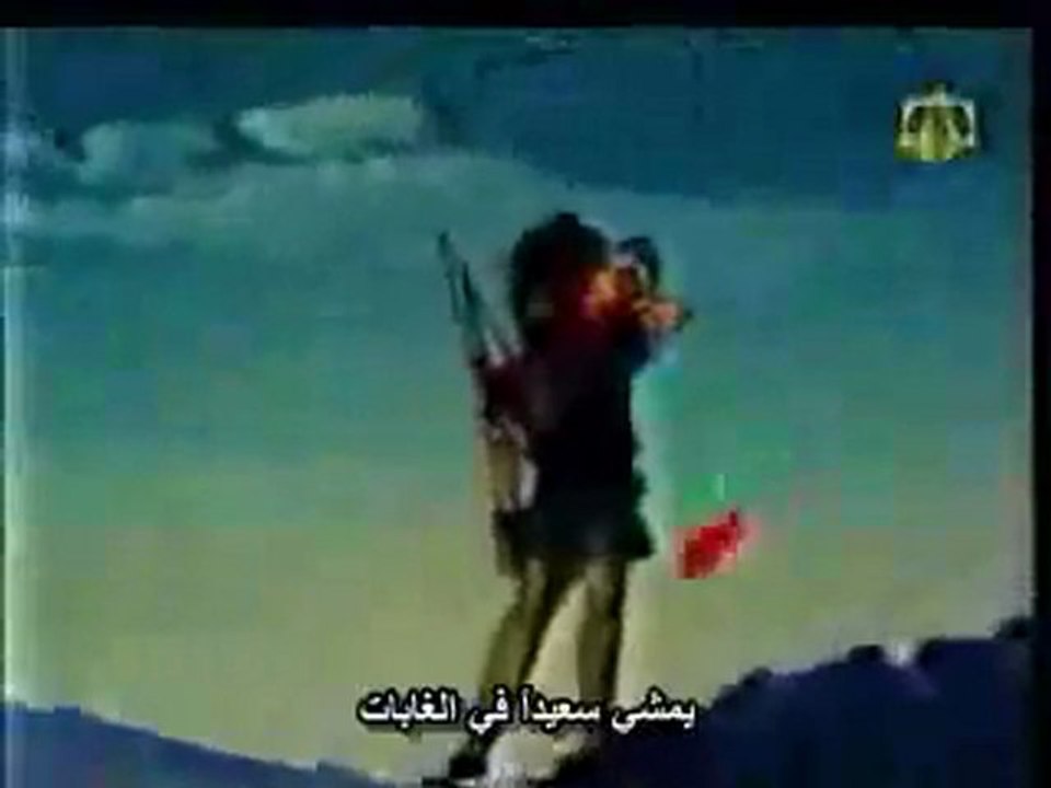روبن هود . رسوم متحركه
