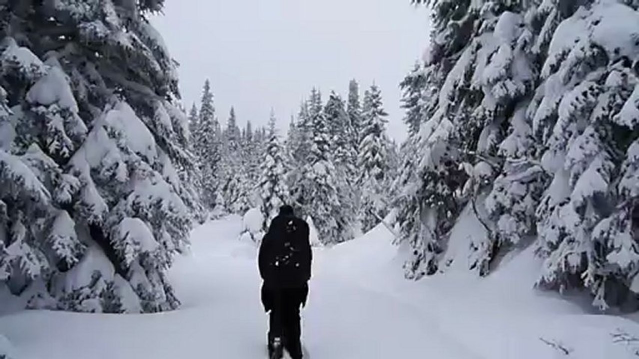 29/12/2012 - Parc de la Gaspésie, Canada - entre le refuge du Huard et le refuge de la Mésange