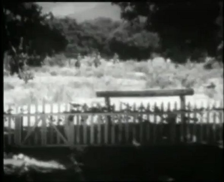 Les Cavaliers du Destin