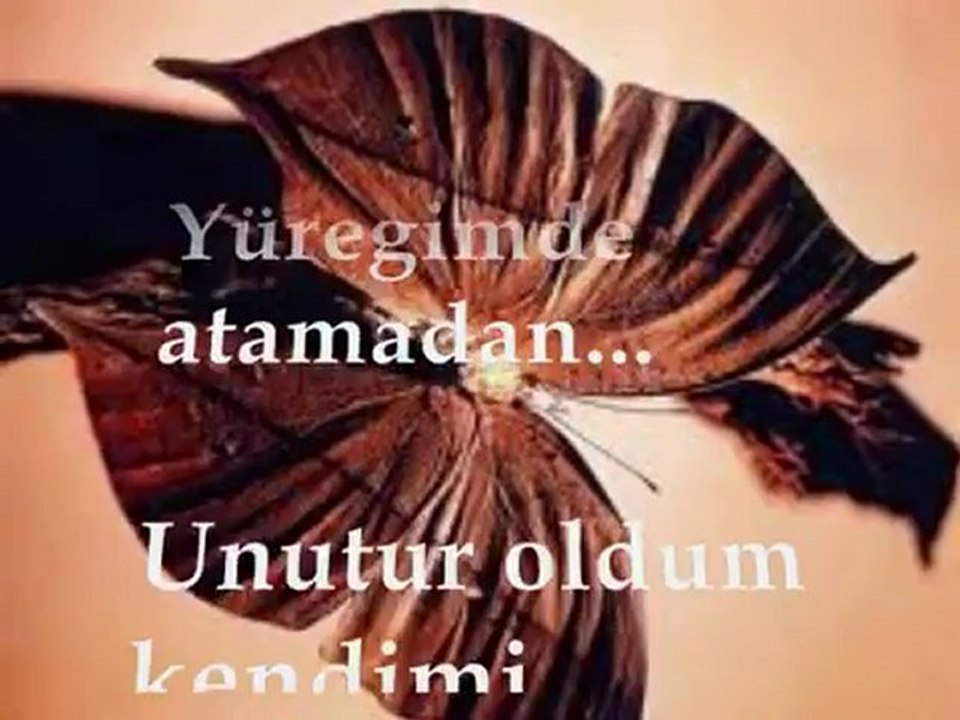 SEVCAN ORHAN _BU SEVDADAN KURTULAYIM