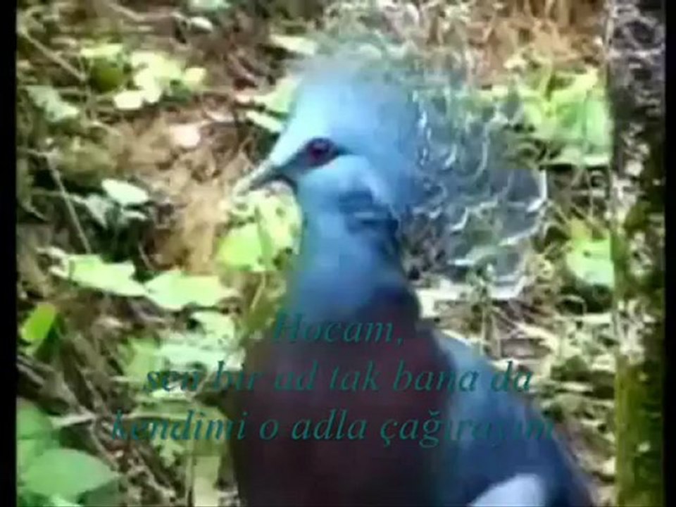 Ne güzelim, ne çirkin. Ne buyum ben, ne o.